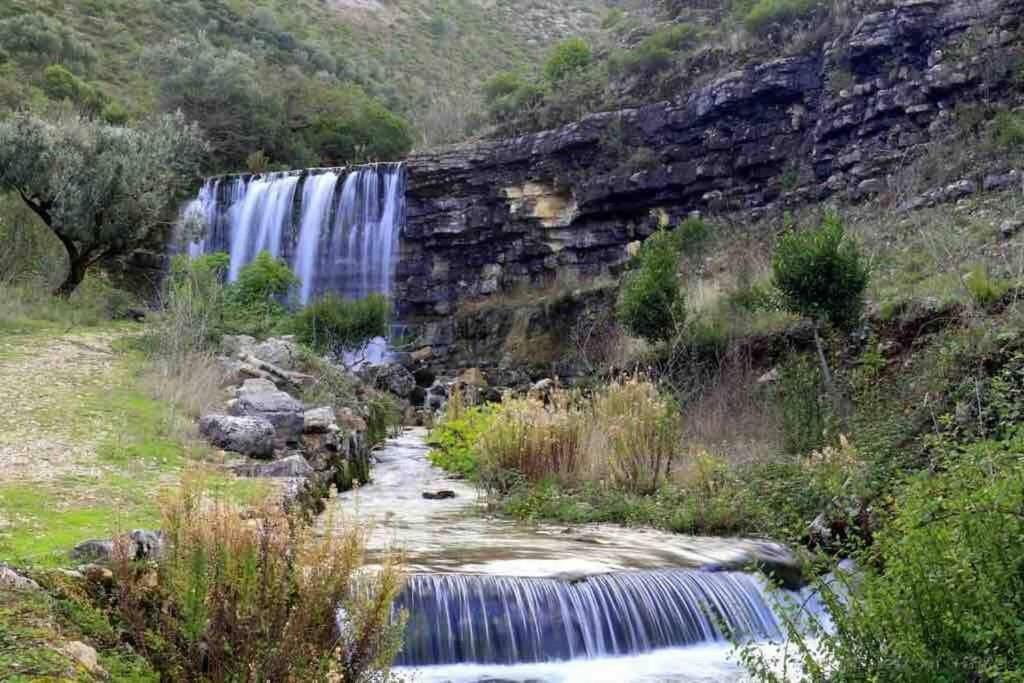 Casa Davo Villa Leiria Dış mekan fotoğraf